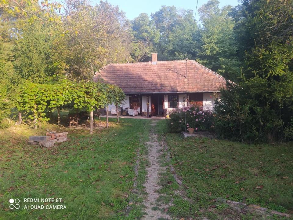Fecskefeszek Vendeghaz Oriszentpeter Hotel Luaran gambar