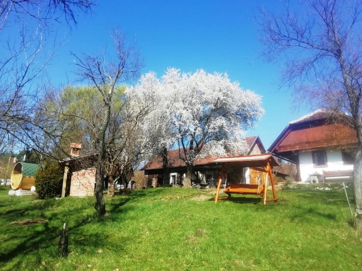 Fecskefeszek Vendeghaz Oriszentpeter Hotel Luaran gambar