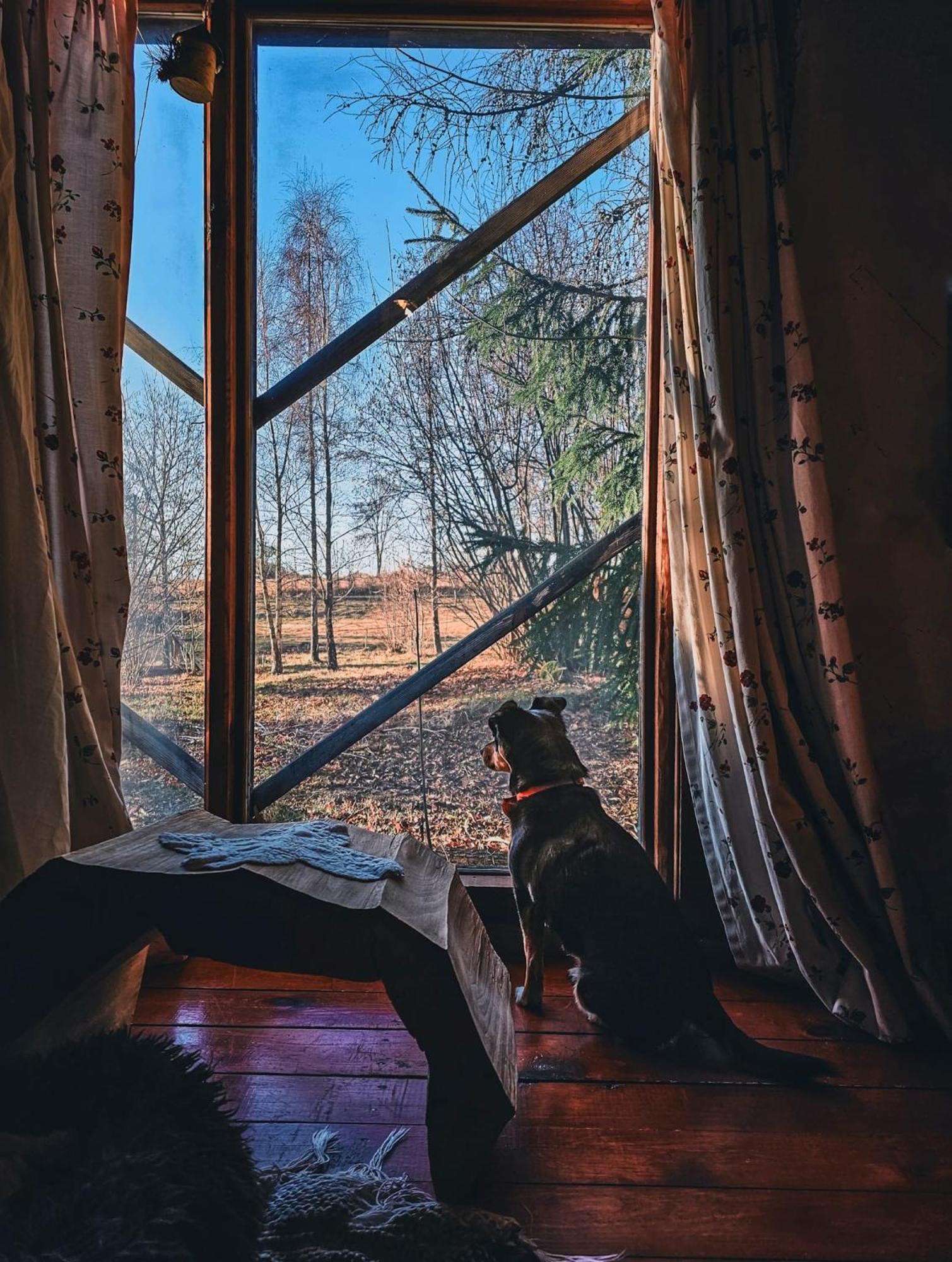 Fecskefeszek Vendeghaz Oriszentpeter Hotel Luaran gambar