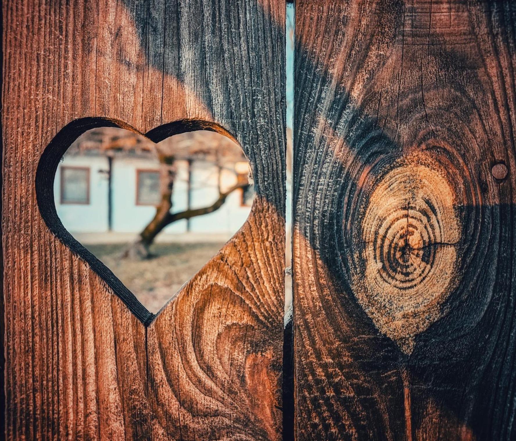 Fecskefeszek Vendeghaz Oriszentpeter Hotel Luaran gambar