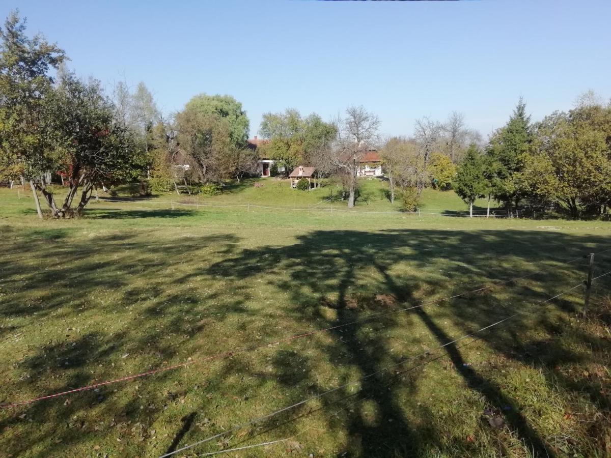 Fecskefeszek Vendeghaz Oriszentpeter Hotel Luaran gambar